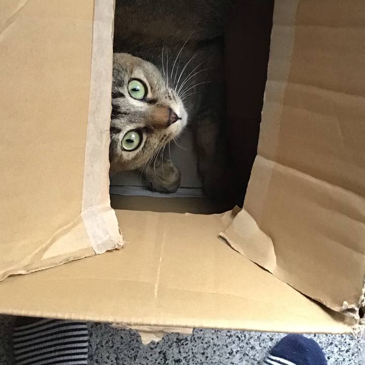 Ec84d752 8546 4866 830e 1469da5f0df7 1588667437229