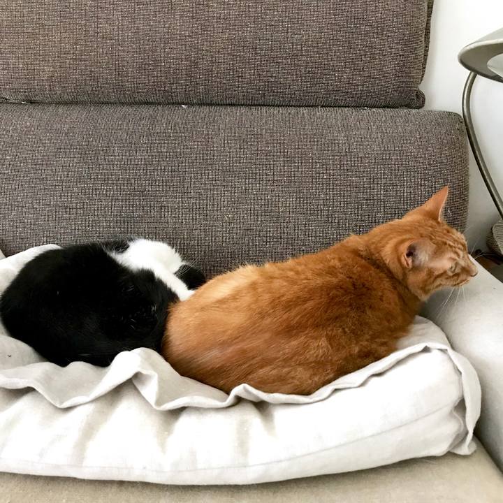 Ec84f307 6553 4c37 bb4c 5dcea41d2dc7 1561945206206