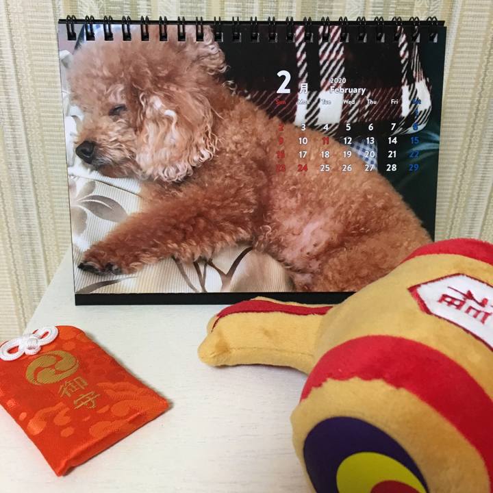 Ec850c4f 0d31 4683 85e7 a579a839912a 1580603730530