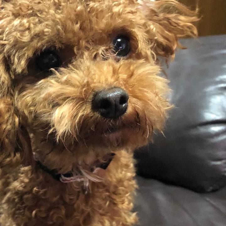 Ec85103e 8f91 40d2 8ce1 f39438ab9125 1511077267267