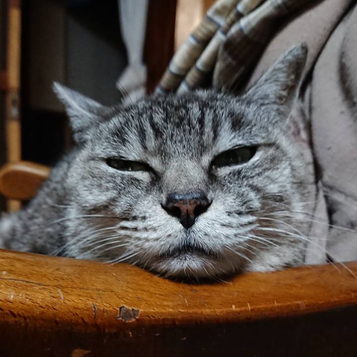 Ec858497 b16a 41ef 9d6a 38804f41b1df 1569408120069