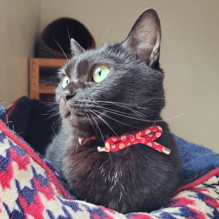 Ec85a93d 860a 44ae a166 ee8b20f304cb 1652738910531