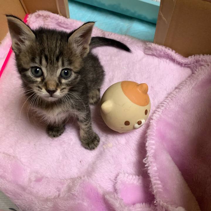 Ec86010a a3b2 4e68 ae2c 078d125e5119 1564054676630