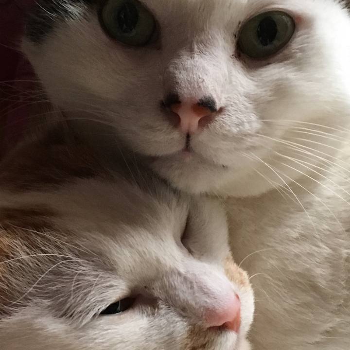 Ec863715 3b52 4d29 99cb aa2d51125a9f 1552697441320