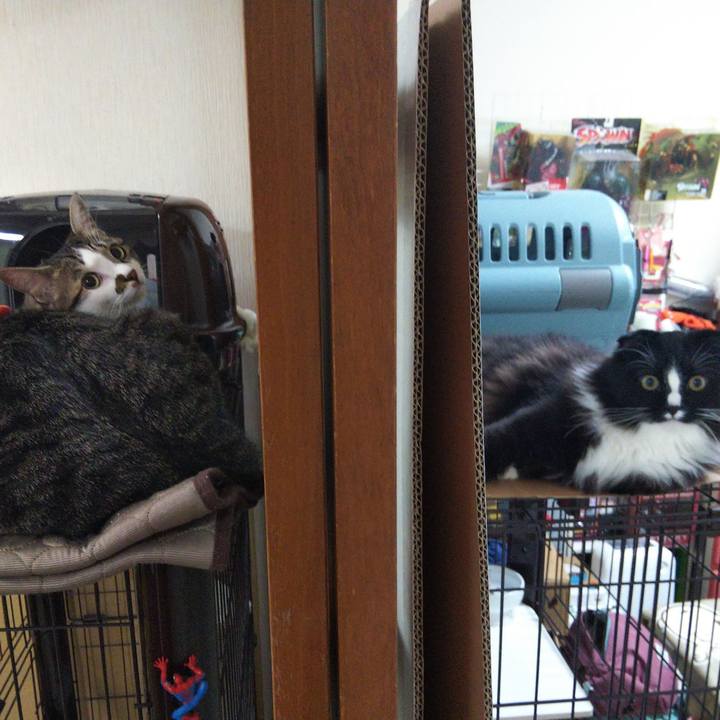 Ec864cd5 dd34 440f b0ce bc8b636ff08d 1651240330790