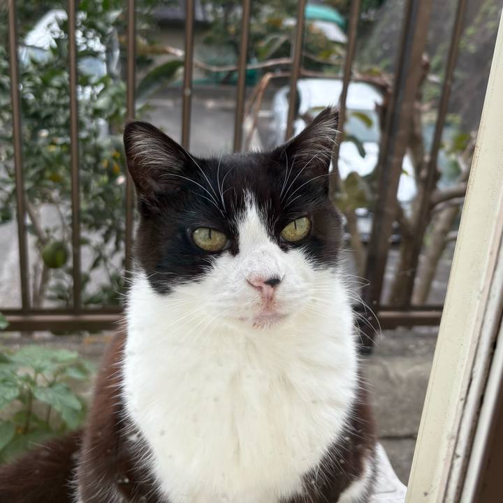 Ec868d0b 4c80 440e 9d17 731542d9dd92 1762318380614