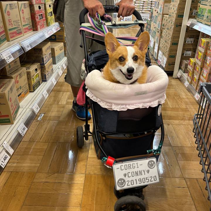 Ec86b44c f814 46b6 a41d bf5b5a5c6d87 1759648045152