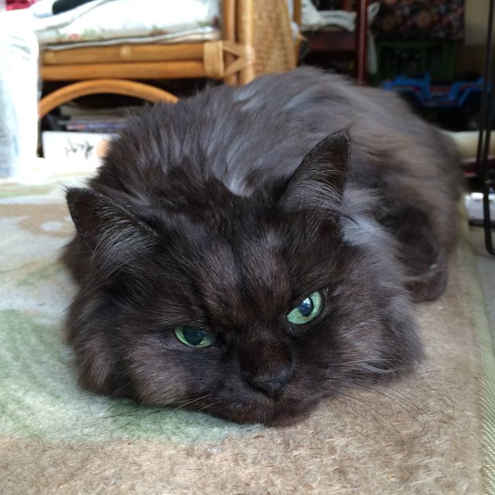 Ec86bd8f bfe2 4e23 8e97 1151f764a506 1561161820209