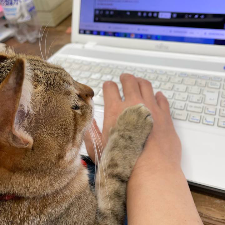 Ec86dc82 f5cb 4c23 b4c9 82cbfd688001 1679134619122