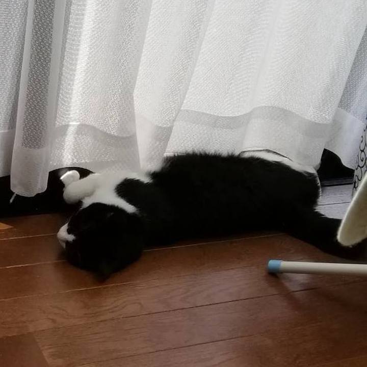 Ec86e964 9b65 49da 96a9 208836c4800b 1557989016955