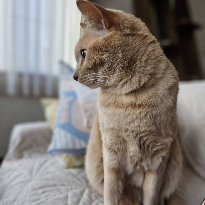 Ec87191c 7656 4d33 9284 9946730c4aee 1701569086839