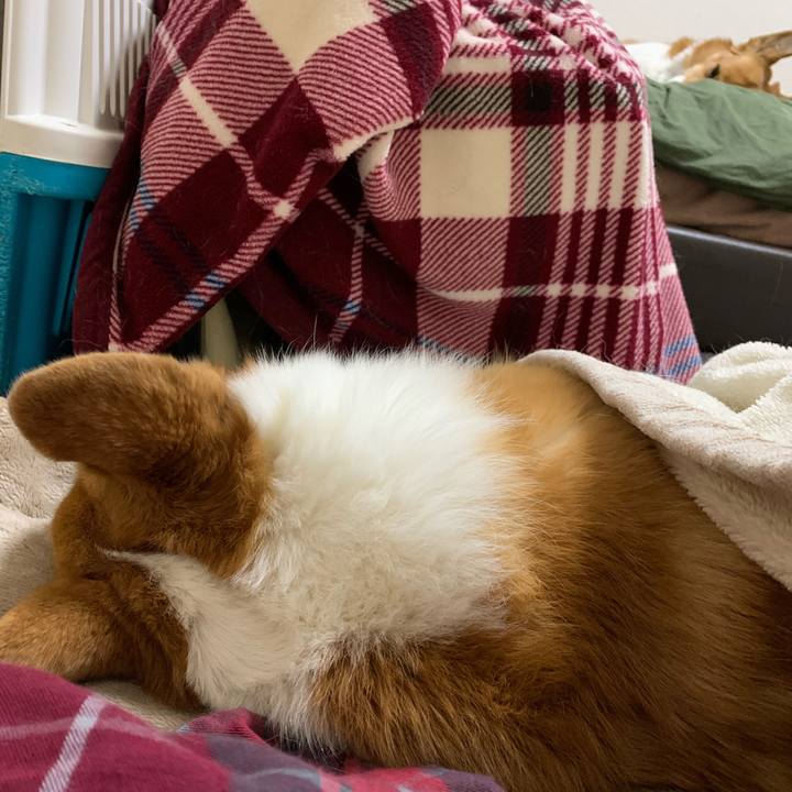 Ec873317 7ec5 4de0 907c 8f58dbe85925 1580935454066