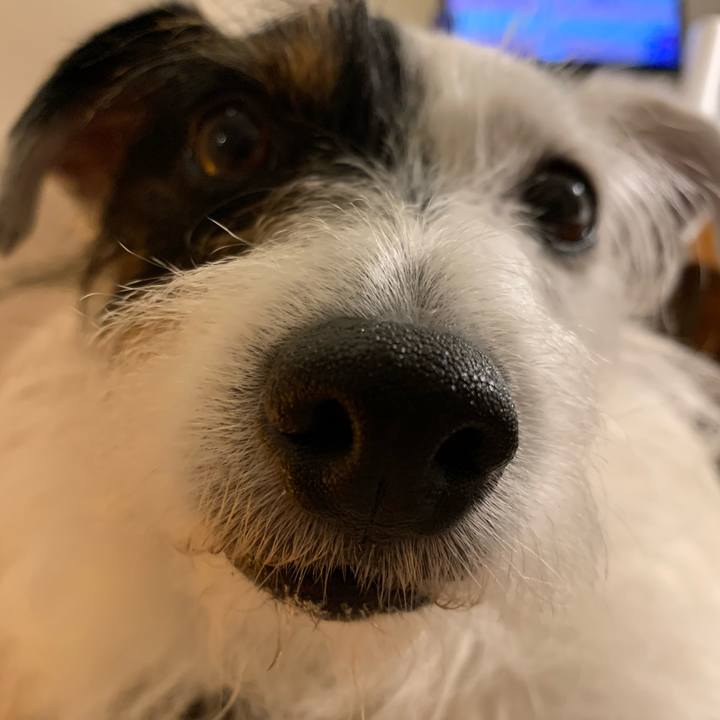 Ec873b9b 8463 4cc6 bf13 0febb35f5a8e 1597232914486