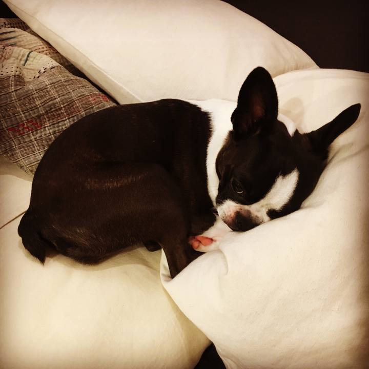 Ec874601 4546 42f8 820d f19b80d723f7 1530676012668