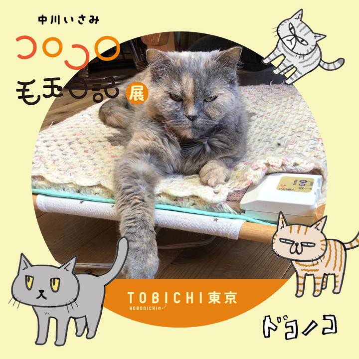 Ec874bf8 d5a3 4565 9cd3 b75147dd94cd 1740191701913