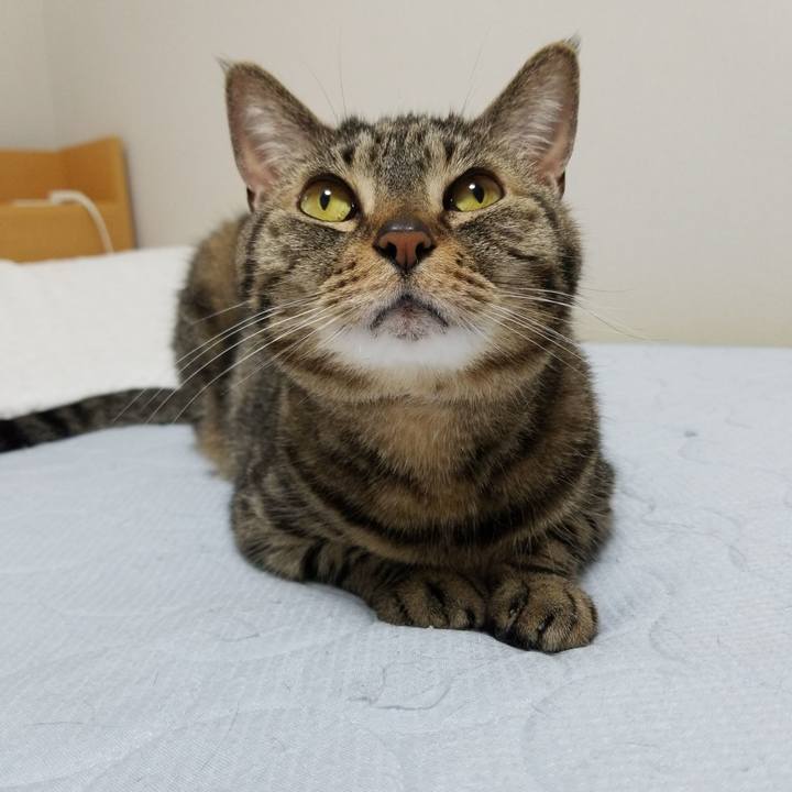 Ec878bff aaa6 480c a752 2f9ddba37d92 1559251800812