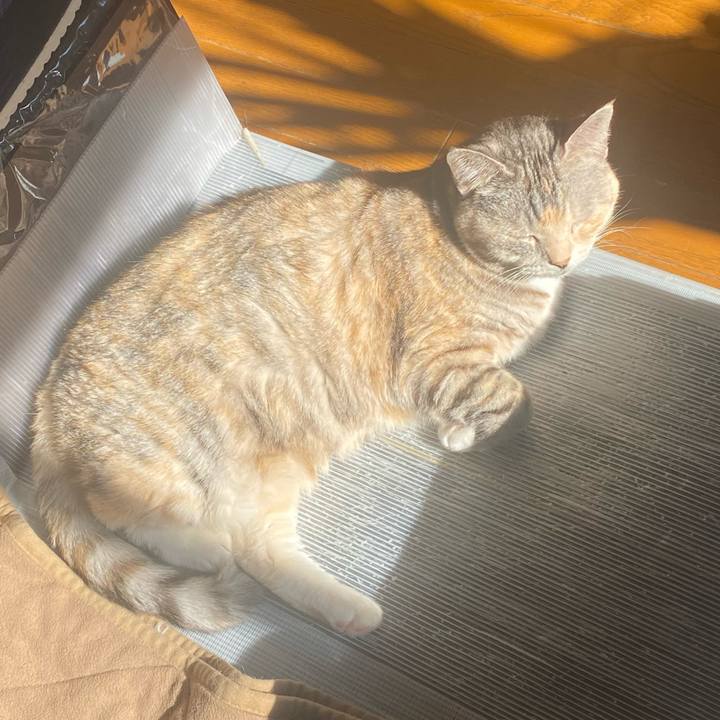 Ec87a73e d6a6 40e8 a7d1 8cfa4544ca6b 1674963259766