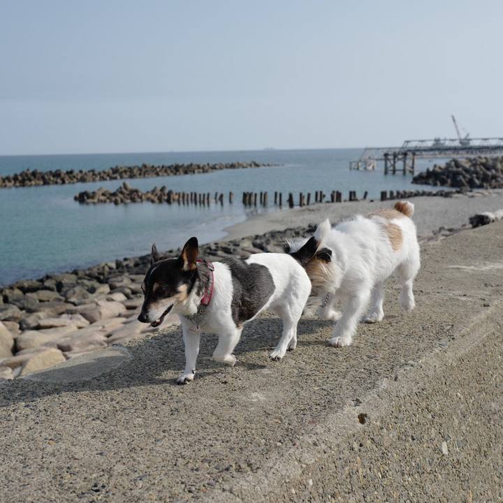 Ec87cfcb 0752 4125 88d4 861e2fbe4374 1555909857302