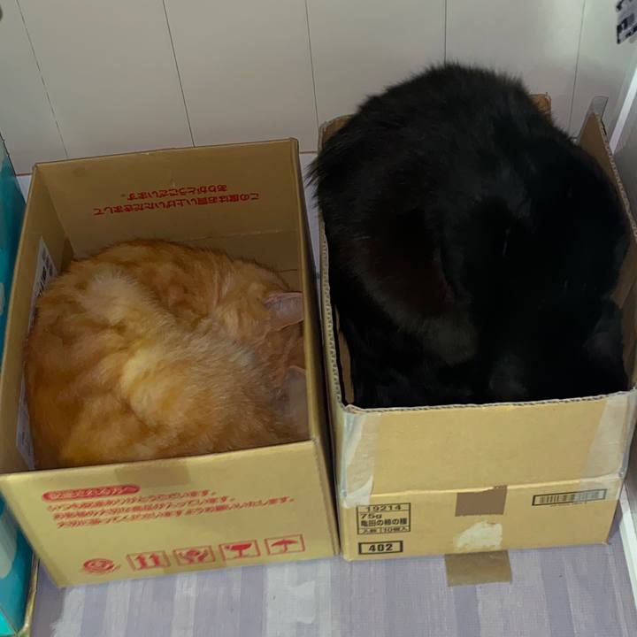 Ec87f755 193e 4a9e aaa1 ff2f5b94b523 1607866131701