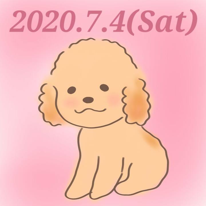 Ec88051e 9d32 45ef 94a0 221b4ac75a74 1593870915204
