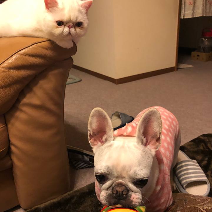 Ec88152b 40bf 4b80 9bc7 7a6460894ab3 1576157723446