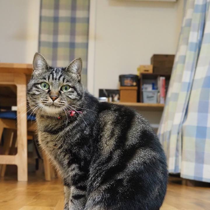 Ec8818df 542e 4573 99e9 9ccfdb8fdbb1 1606099764572