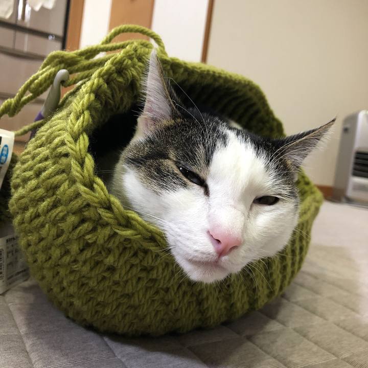 Ec883853 2077 4907 8674 c878366cc89d 1636463082511