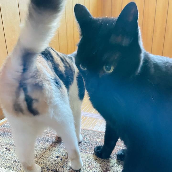 Ec888fbc da55 444a 9c77 f4c17cae2b29 1655692695018