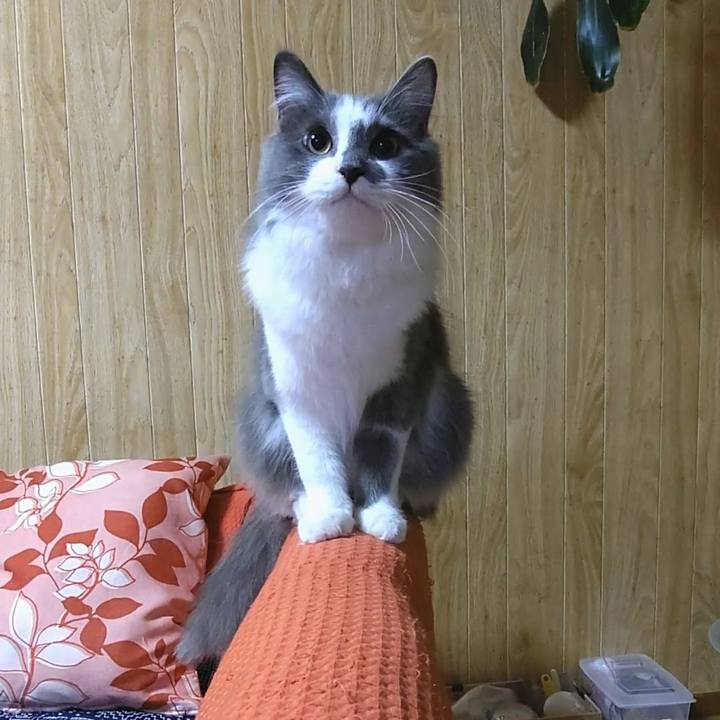 Ec889742 b94a 49c7 ba0b 03879cdabd61 1576402018880