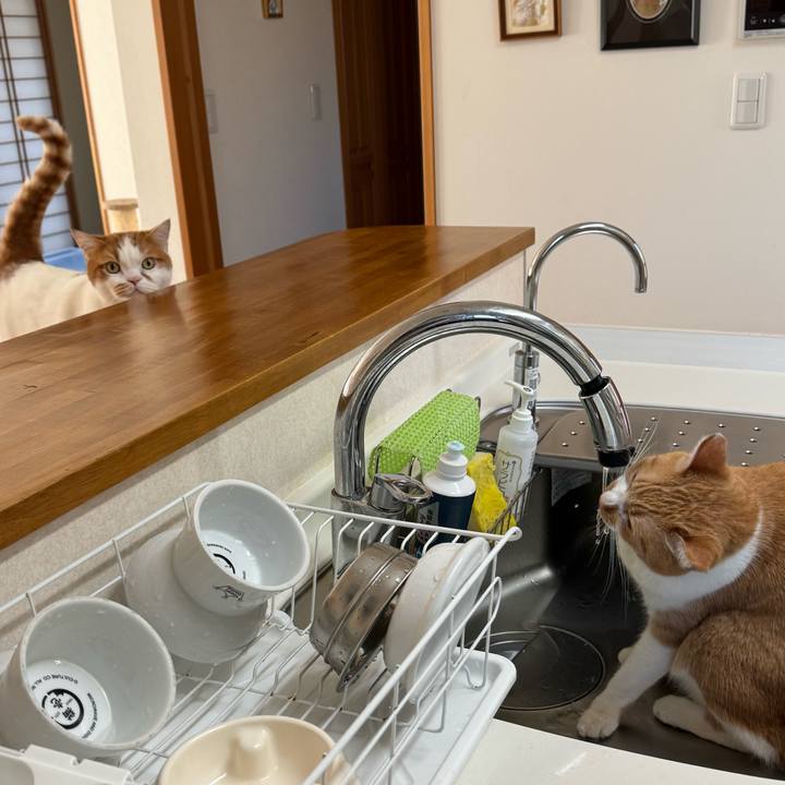 Ec88a33b d97a 4bdb bc24 5c15050589dc 1764126231937