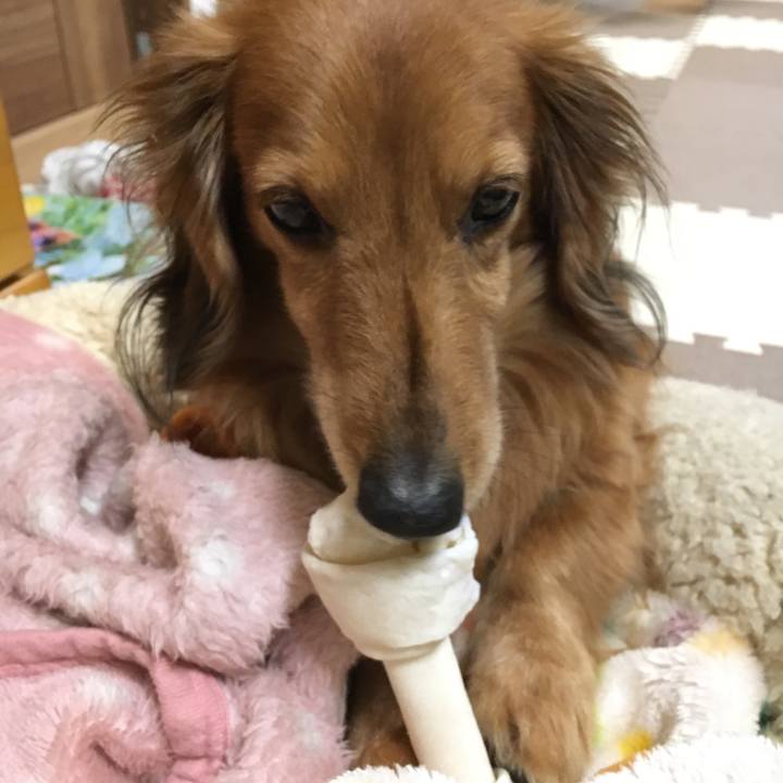 Ec88b1f0 9fd3 457f 94f3 d1364d37de90 1551524330228