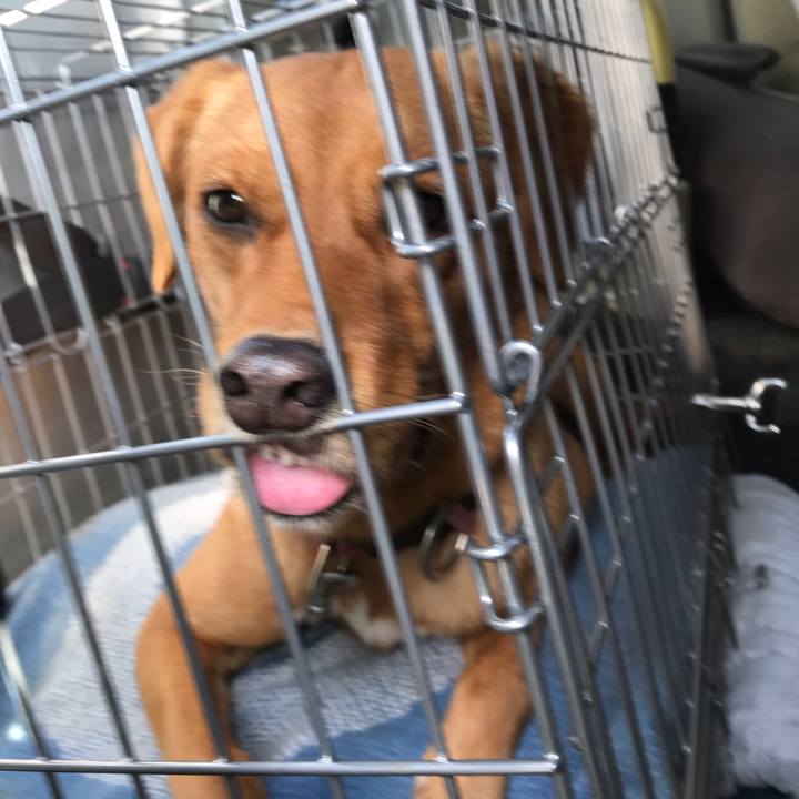 Ec88f88b 6b99 4aa0 9206 84c64e0481c4 1541380978212