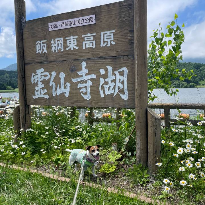 Ec89181e 1097 4694 8cb2 0928fe19a946 1750132653143