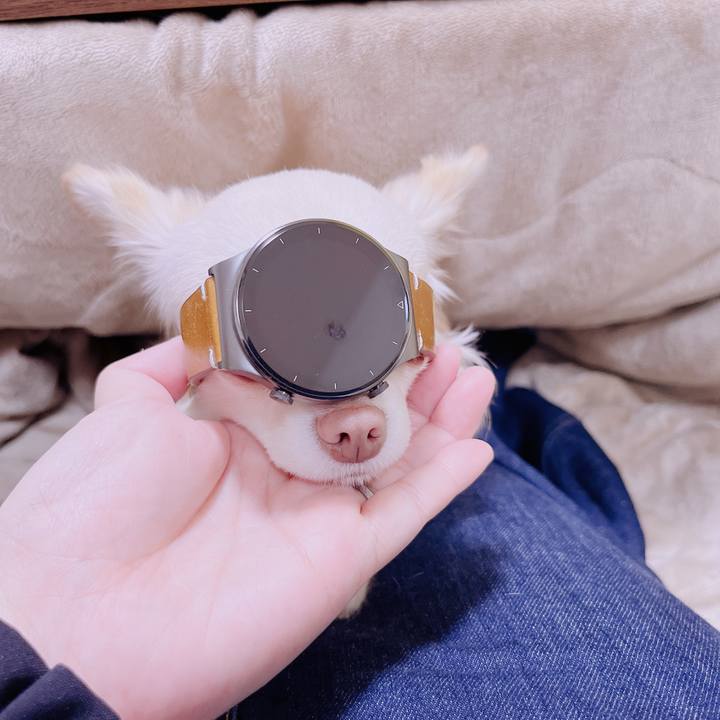 Ec892c6c 50a1 4a84 a0f9 0b700bd213b7 1678495735759