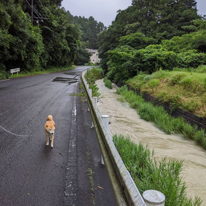 Ec89523e 6ba5 4d2f b1f1 0fc2848f4150 1593838820555