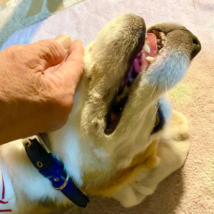 Ec89636b 4514 4ca2 98da 4d0150eb2576 1624334094856