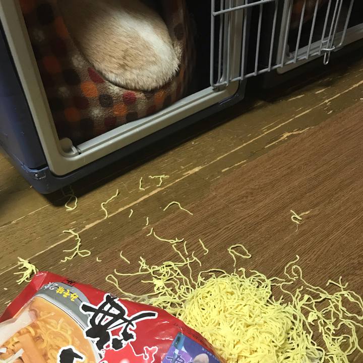 Ec89ad18 e241 4c94 911b b3011e4e8e13 1554297099337