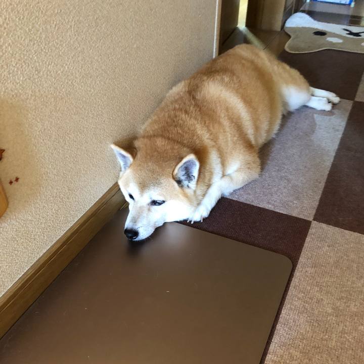 Ec89daa5 9279 4fa7 9b7d 3ed74c231c78 1568509840842