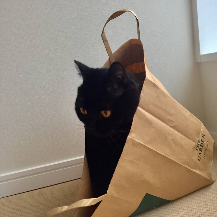 Ec8a0468 bcde 4831 8760 19b5a5750c66 1539472308373