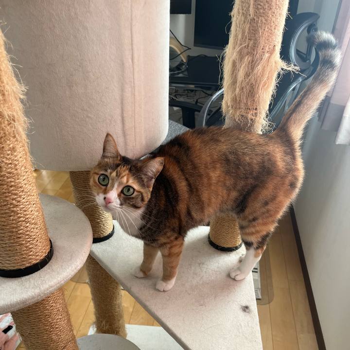 Ec8a4cd8 cdde 4f9c 9998 2f8129662a34 1705112072493