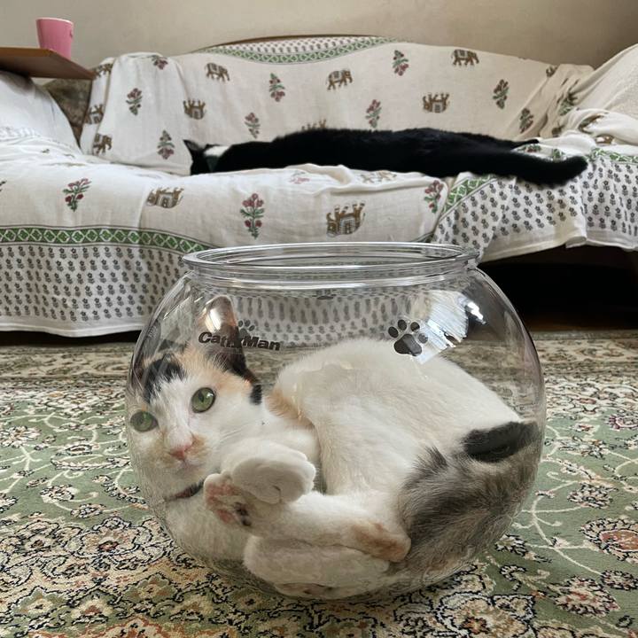 Ec8a929e a25d 40a2 8379 74a5400fde5e 1721880647475