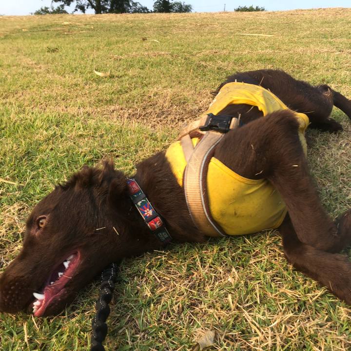 Ec8aabb1 98a9 4682 b432 4b856f8d7c89 1564697432513