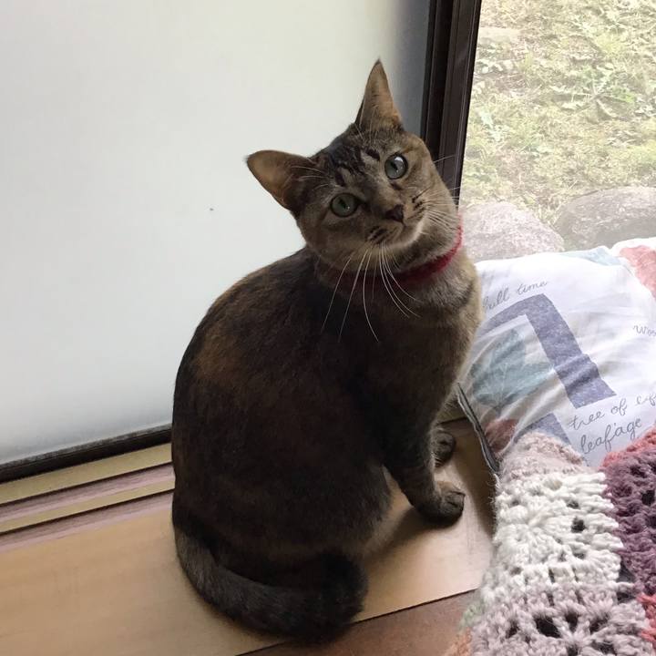 Ec8aef3d 8a58 431d 9939 3a74ae2f32e4 1603784990659