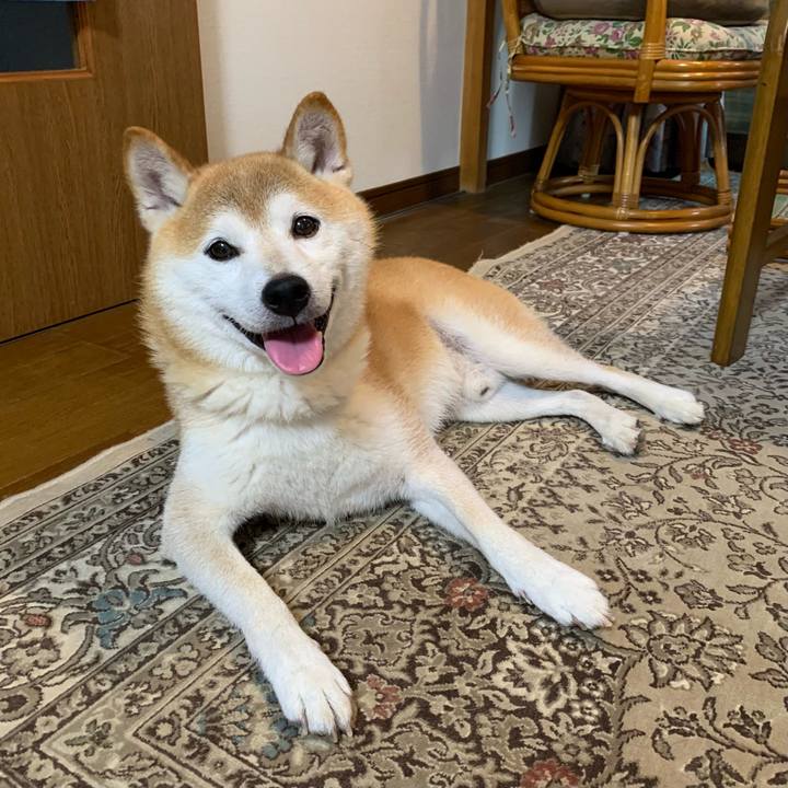 Ec8b03a9 bef9 4ed5 9e68 363f9066248f 1693653124076