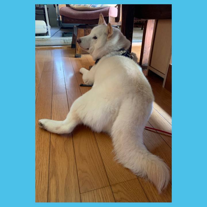 Ec8b23f2 a235 4efb 9565 dd9d364c61f8 1628825840460