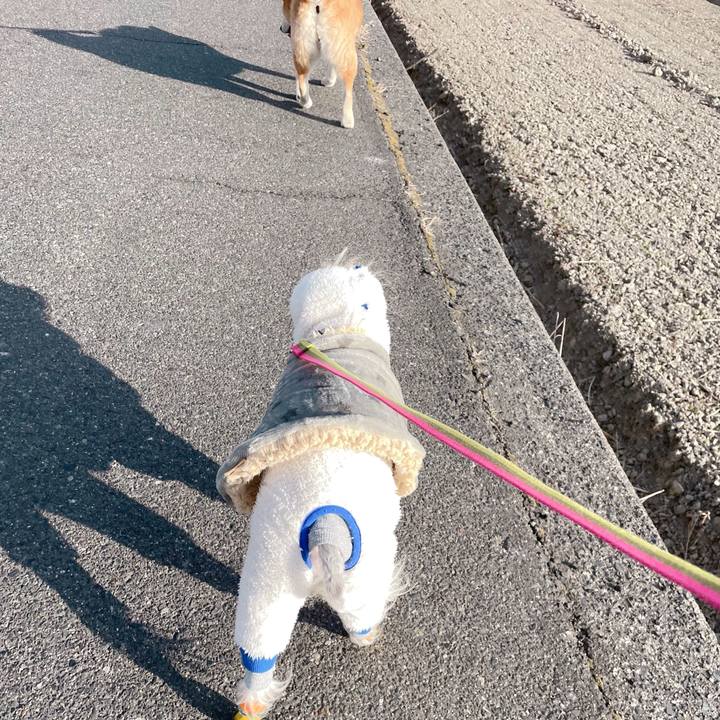 Ec8b3669 f0c0 4d40 b74f 7c6441b2f2d9 1769758507521