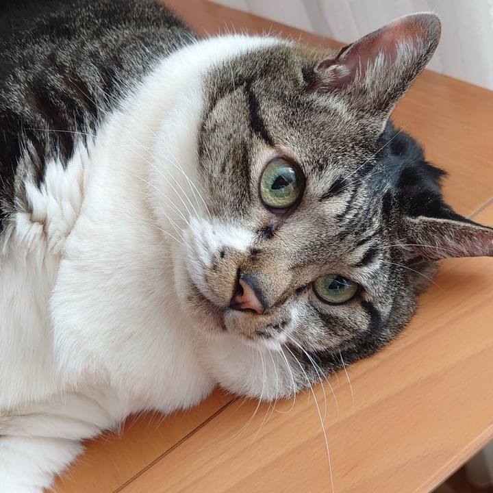 Ec8b498d 4fe2 434f 88dd 11d999325a46 1630204000970