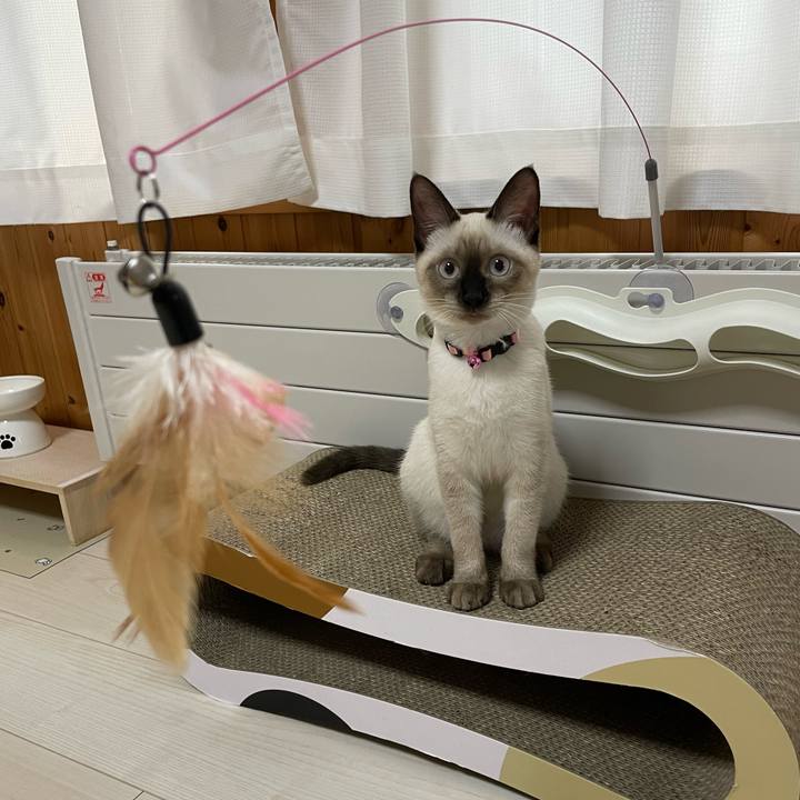 Ec8c2540 feca 499a a821 a9f0009b2dbd 1694897532445