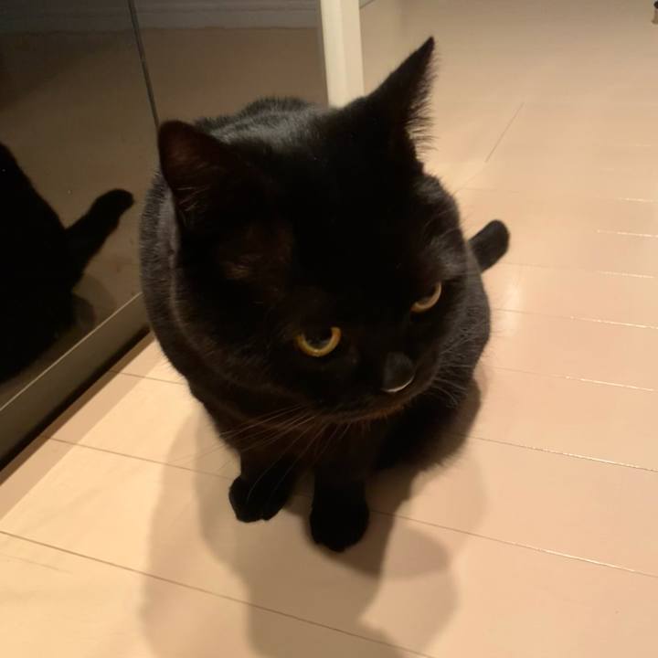 Ec8c2b93 00e2 4165 a17f 94bc6128b730 1708692654053