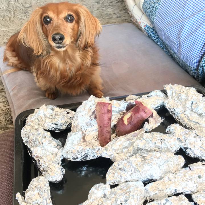 Ec8c417e 6ea9 4ed8 94d9 138f28e0af61 1541210536819